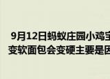  9月12日蚂蚁庄园小鸡宝宝问题 打开搁置一段时间后饼干会变软面包会变硬主要是因为