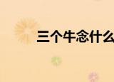 三个牛念什么字（三个牛怎么念）