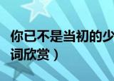 你已不是当初的少年是什么歌（歌曲这条街歌词欣赏）