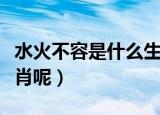 水火不容是什么生肖（水火不容到底是什么生肖呢）