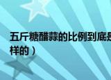 五斤糖醋蒜的比例到底是多少（五斤糖醋蒜的比例到底是怎样的）