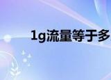 1g流量等于多少mb（流量的简介）