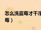 怎么洗蓝莓才干净（3种方法教你如何清洗蓝莓）
