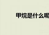 甲烷是什么呢（甲烷的简单介绍）