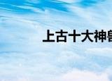 上古十大神兽（分别都是什么）