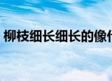 柳枝细长细长的像什么（大家一起来学习吧）