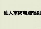 仙人掌防电脑辐射吗（为什么可以防辐射）