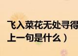 飞入菜花无处寻得上一句（飞入菜花无处寻得上一句是什么）
