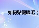 如何贴假睫毛（假睫毛的贴法与步骤）