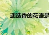 迷迭香的花语是什么（迷迭香的花语）