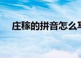 庄稼的拼音怎么写（庄稼的拼音和解释）