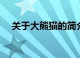 关于大熊猫的简介（大熊猫的资料介绍）