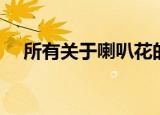 所有关于喇叭花的资料（喇叭花的简介）