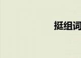 挺组词（挺的组词）