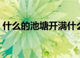 什么的池塘开满什么的荷花（优美景色造句）