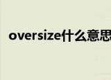 oversize什么意思中文（oversize的解释）