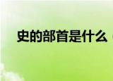 史的部首是什么（汉字史的部首是什么）