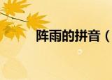 阵雨的拼音（阵雨的拼音及解释）
