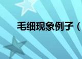 毛细现象例子（毛细现象例子有哪些）