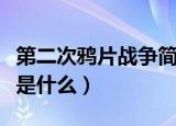 第二次鸦片战争简介（第二次鸦片战争的后果是什么）
