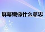 屏幕镜像什么意思（iOS11的屏幕镜像解释）