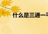 什么是三通一平（三通一平的解释）