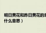 明日黄花和昨日黄花的意思是什么（明日黄花和昨日黄花是什么意思）
