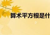 算术平方根是什么（平方根又是什么）
