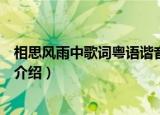 相思风雨中歌词粤语谐音（相思风雨中歌词及粤语谐音简单介绍）