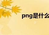 png是什么意思（png解释）