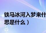 铁马冰河入梦来什么梗（铁马冰河入梦来的意思是什么）