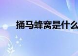 捅马蜂窝是什么意思（捅马蜂窝释义）