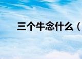 三个牛念什么（三个牛的读音及释义）