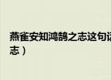 燕雀安知鸿鹄之志这句话什么意思（什么是燕雀安知鸿鹄之志）