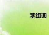 茎组词（茎组词精选）