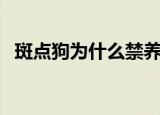 斑点狗为什么禁养（斑点狗被禁养的原因）