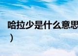 哈拉少是什么意思（无情哈拉少出自何人之口）