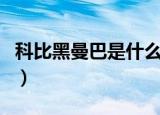 科比黑曼巴是什么意思（这个外号是怎么来的）