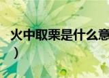火中取栗是什么意思（火中取栗的出处及例句）