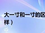 大一寸和一寸的区别（大一寸和一寸有何不一样）