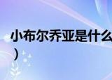 小布尔乔亚是什么意思（小布尔乔亚出自哪里）