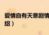 爱情自有天意剧情简介（爱情自有天意剧情介绍）