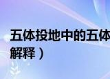 五体投地中的五体指什么（五体投地中的五体解释）