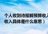 个人收到待报解预算收入是什么意思（个人收到待报解预算收入具体是什么意思）