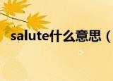 salute什么意思（salute中文是什么含义）
