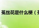 菟丝花是什么梗（菟丝花是什么梗什么意思）