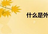 什么是外心（外心介绍）
