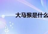大马猴是什么梗（大马猴的出处）