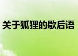 关于狐狸的歇后语（狐狸歇后语大全及答案）