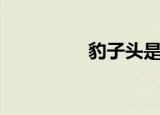 豹子头是谁（林冲简介）